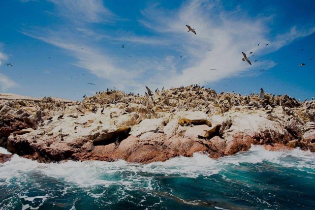 Tour Lima, Ica y Cusco 8 Días 7 Noches